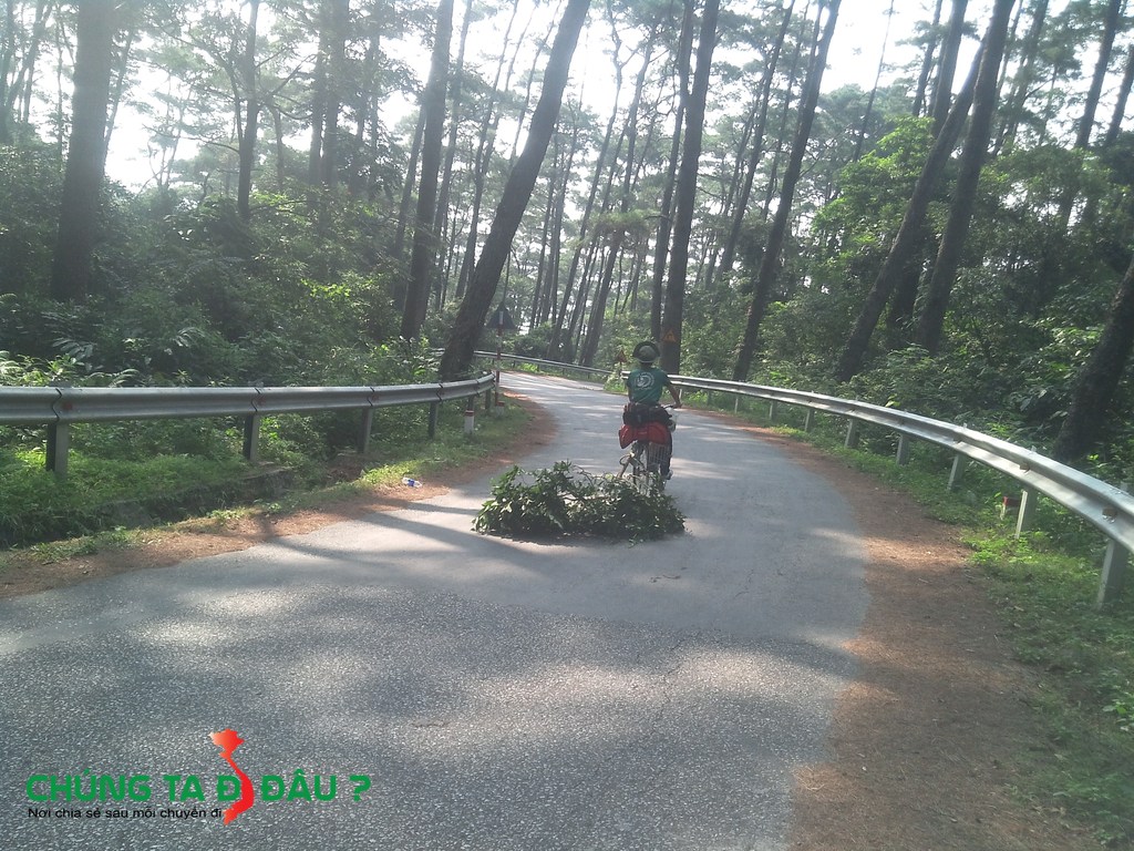 Đổ đèo Tam Đảo