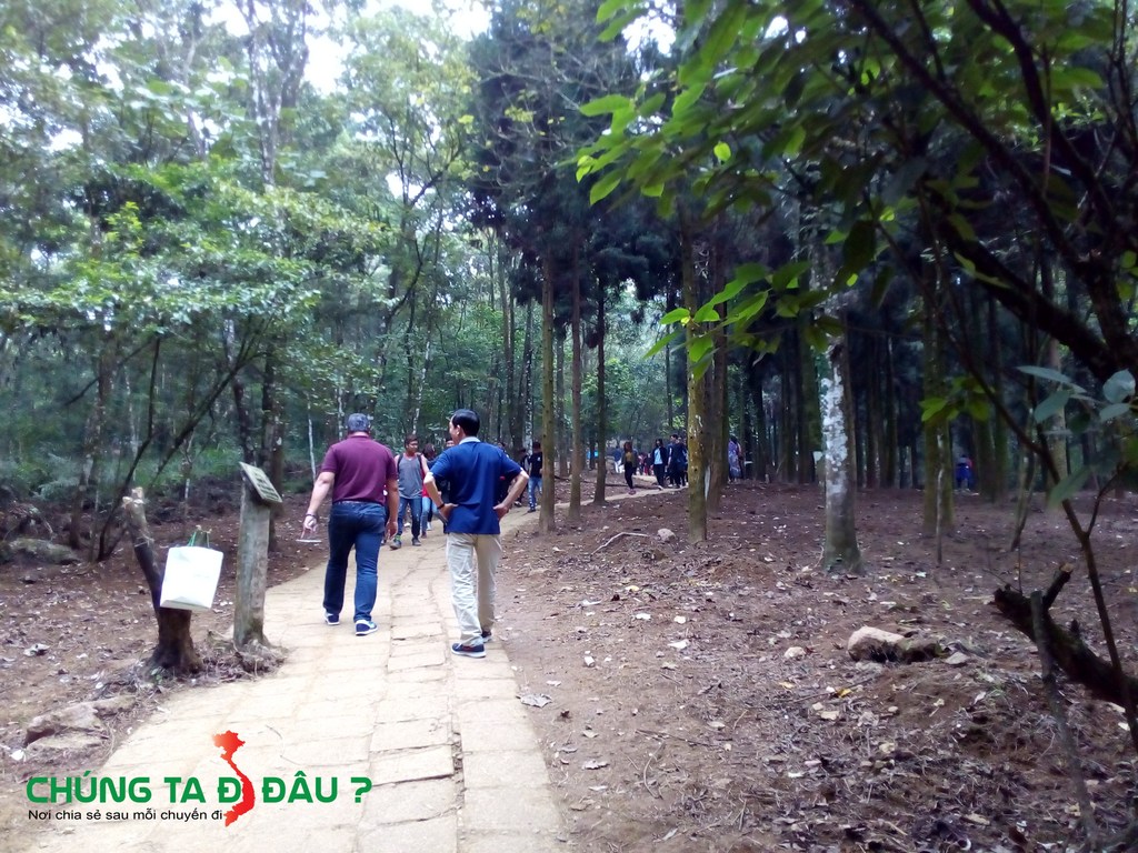 Đường ra đồi hoa Dã Qùy