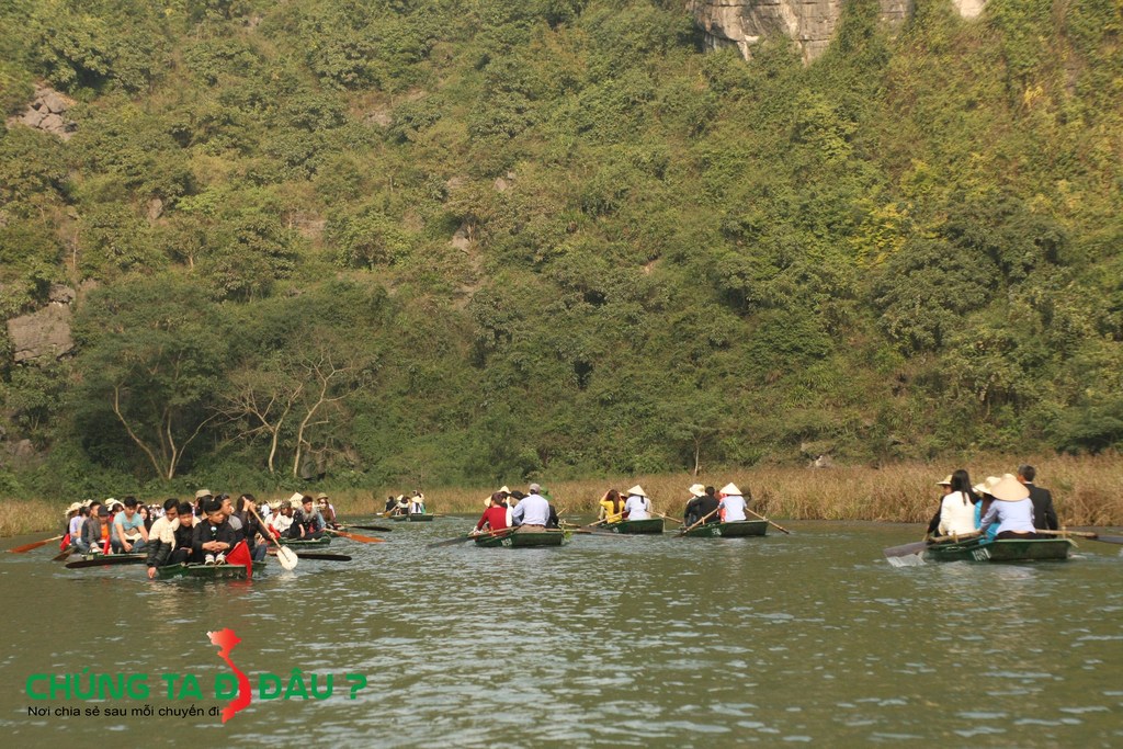 Đò ra đò vào tấp nập tạo nên 1 khung cảnh rất đẹp