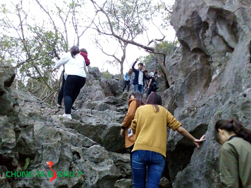 Đường lên đỉnh chợ trời