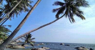 den-hon-son-an-gi-ngu-o-dau-kinh-nghiem-an-ngu-hon-son-rai-kien-giang-3262-3