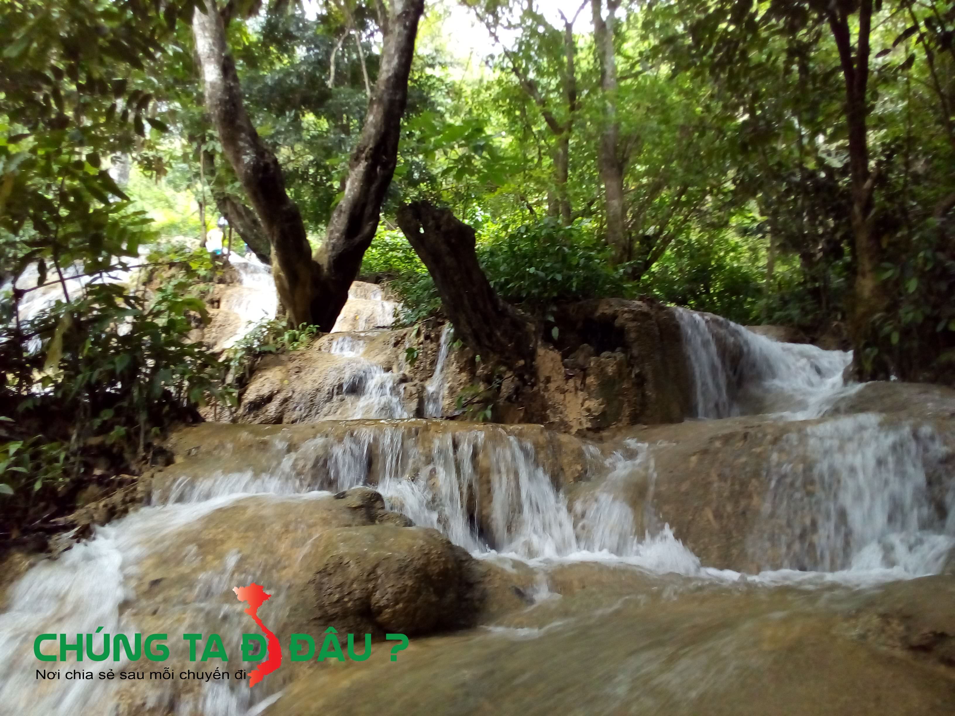 Nước chảy len lỏi qua từng gốc cây