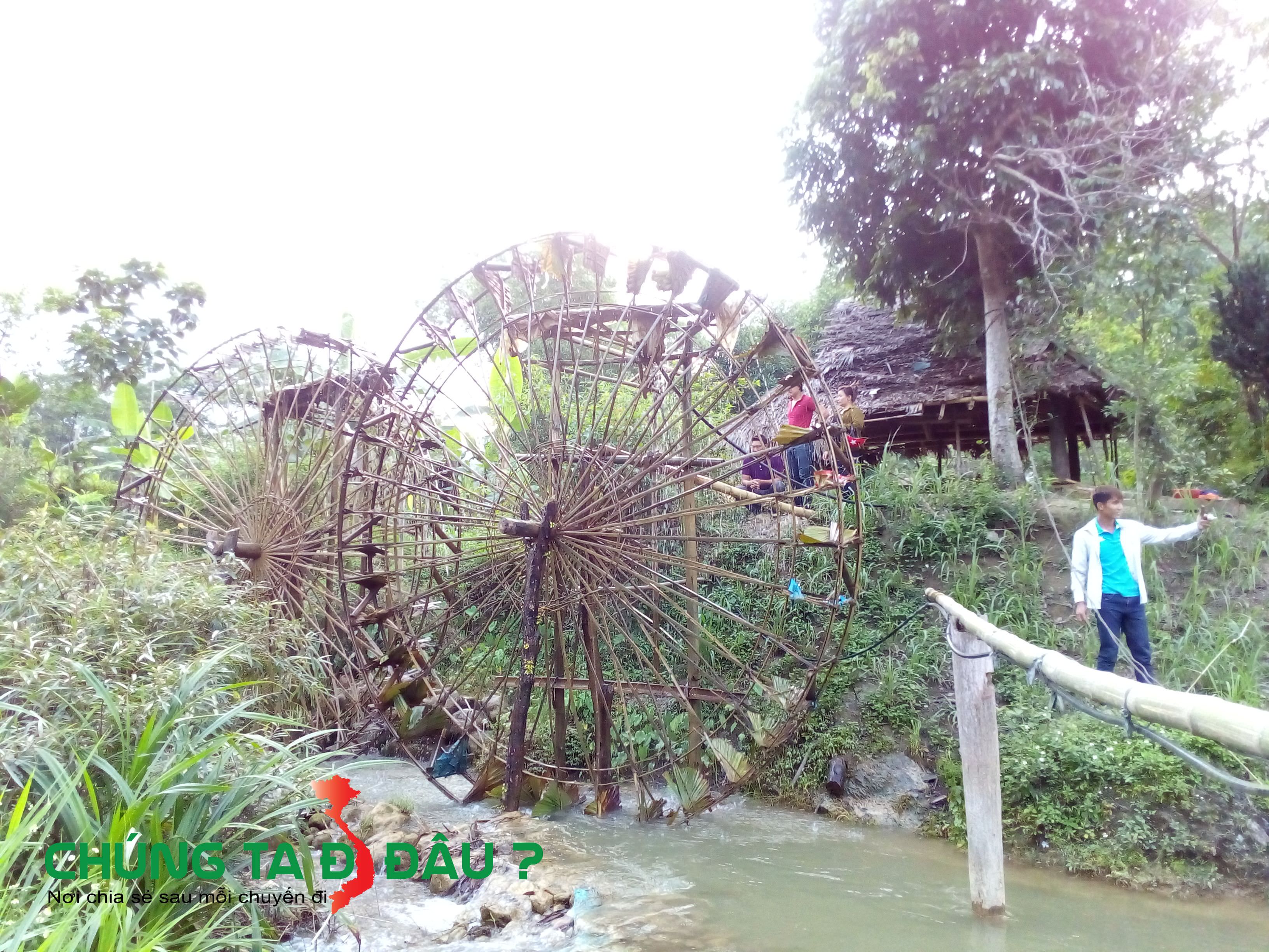 Bạn sẽ bắt gặp những con quay nước ngay cạnh đường đi