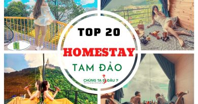 TOP 20 HOMESTAY TAM DAO