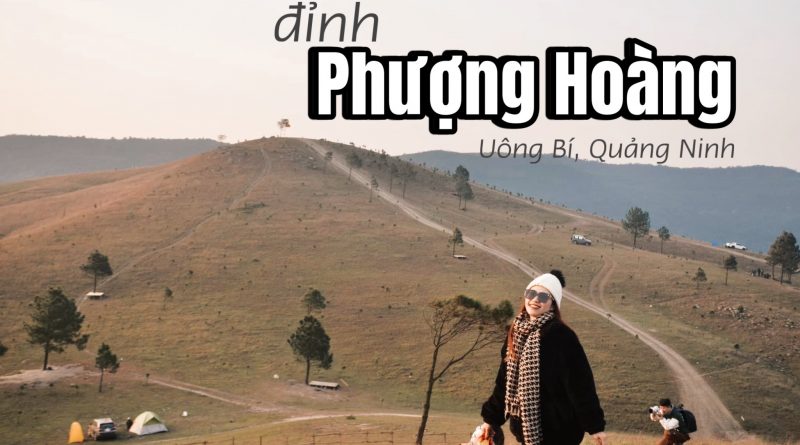 Camping đỉnh Phượng Hoàng | Review chi tiết đỉnh Phượng Hoàng, Uông Bí, Quảng Ninh camping đỉnh phượng hoàng