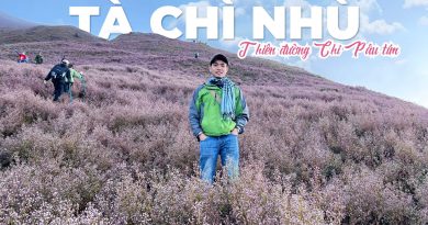 Trekking Tà Chì Nhù mùa hoa Chi Pâu 2 Ngày 2 Đêm Trekking Tà Chì Nhù mùa hoa Chi Pâu 2 Ngày 2 Đêm