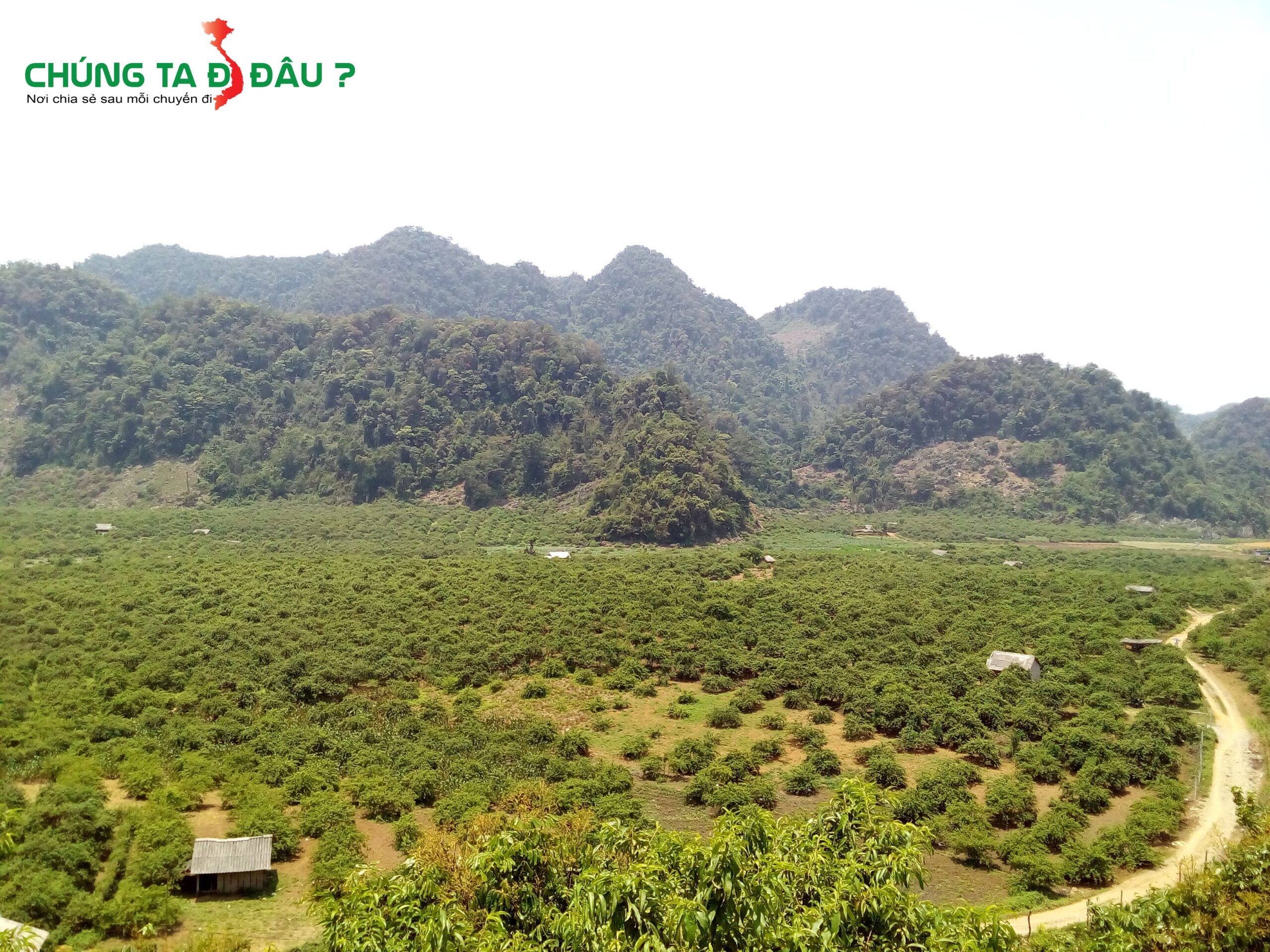 Thung lũng mận Nà Ka nhìn từ trên xuống