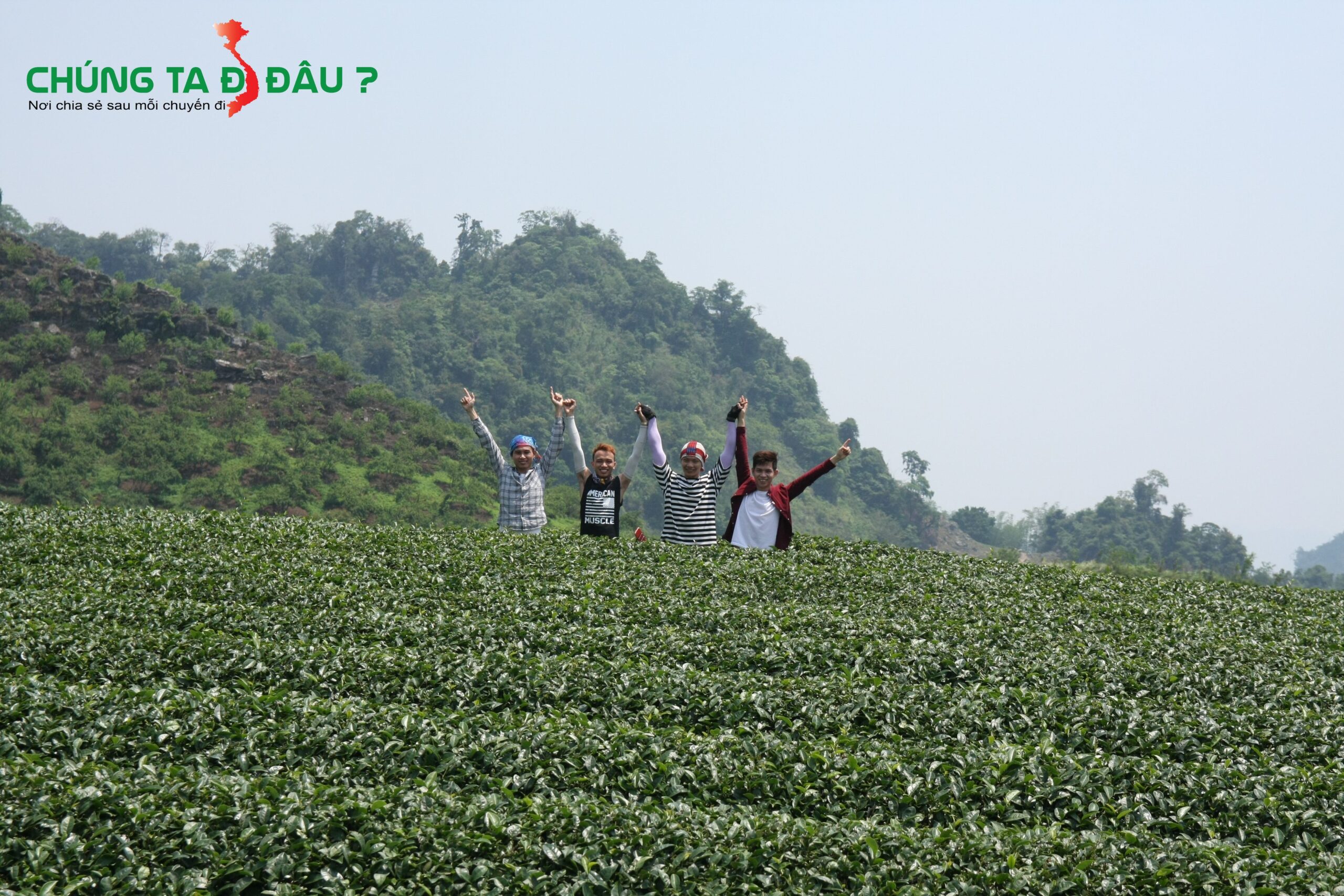 Các bạn trẻ gặp tại đồi chè