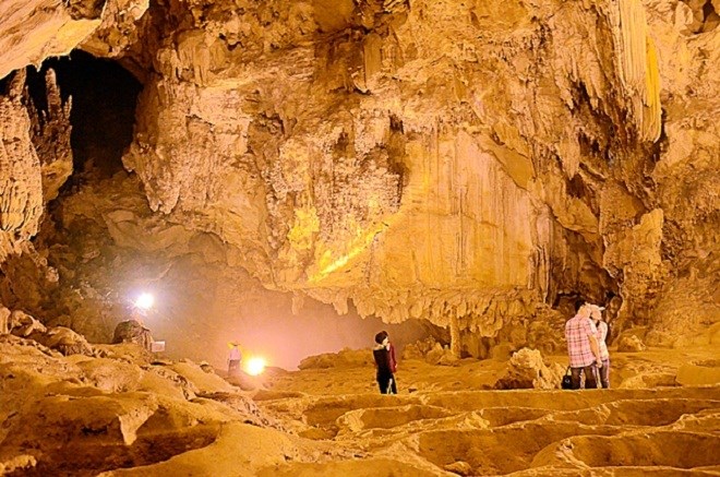 Động ngườm ngao