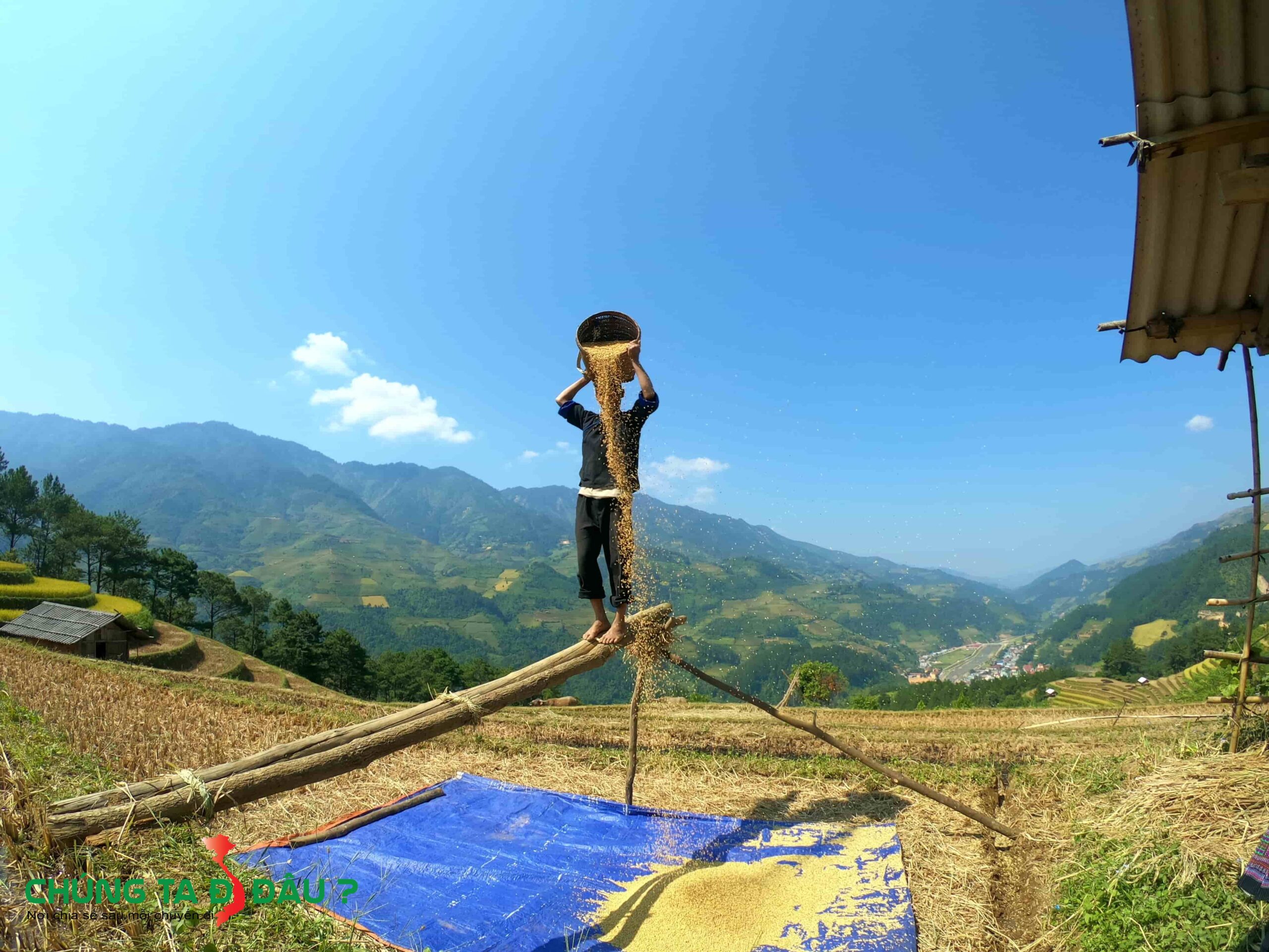 Người dân lợi dụng gió thổi để loại bỏ hạt thóc lép
