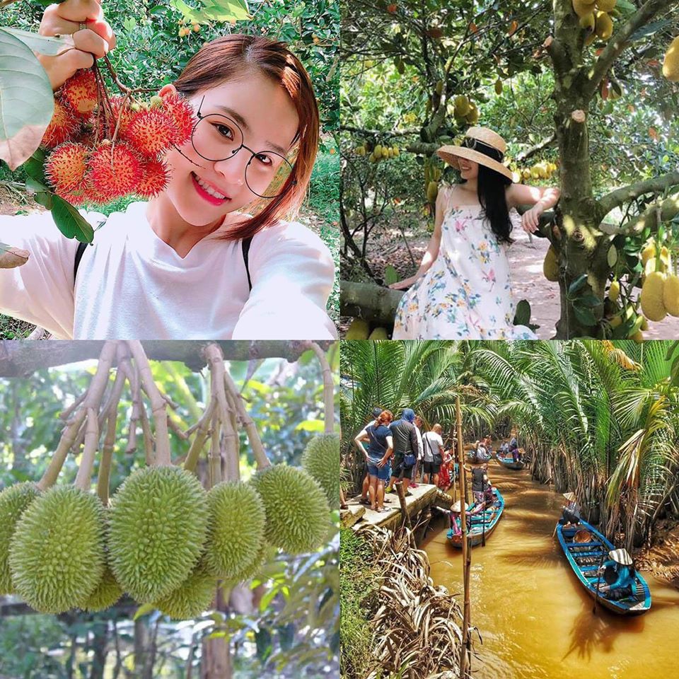 Vườn trái cây CÁI MƠN