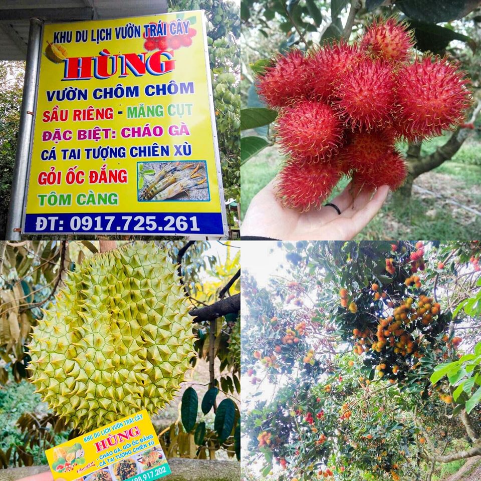 Vườn trái cây HÙNG.