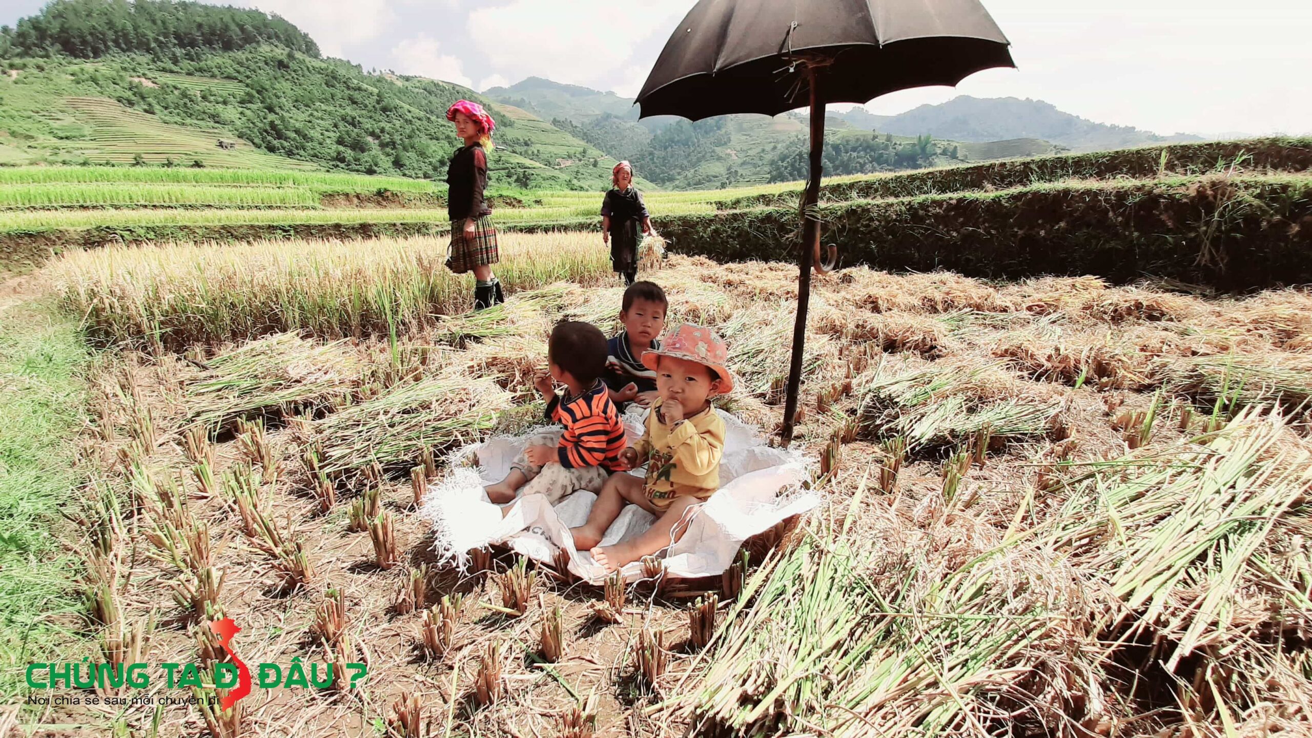 Những đứa trẻ theo mẹ ra đồng