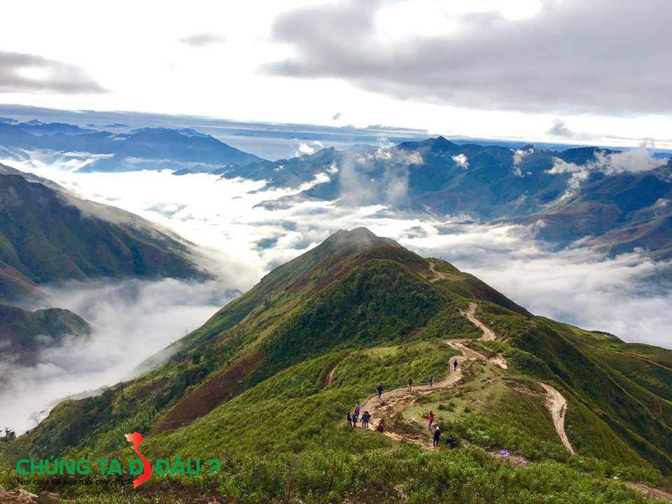 Sống lưng Khủng Long Tà Xùa