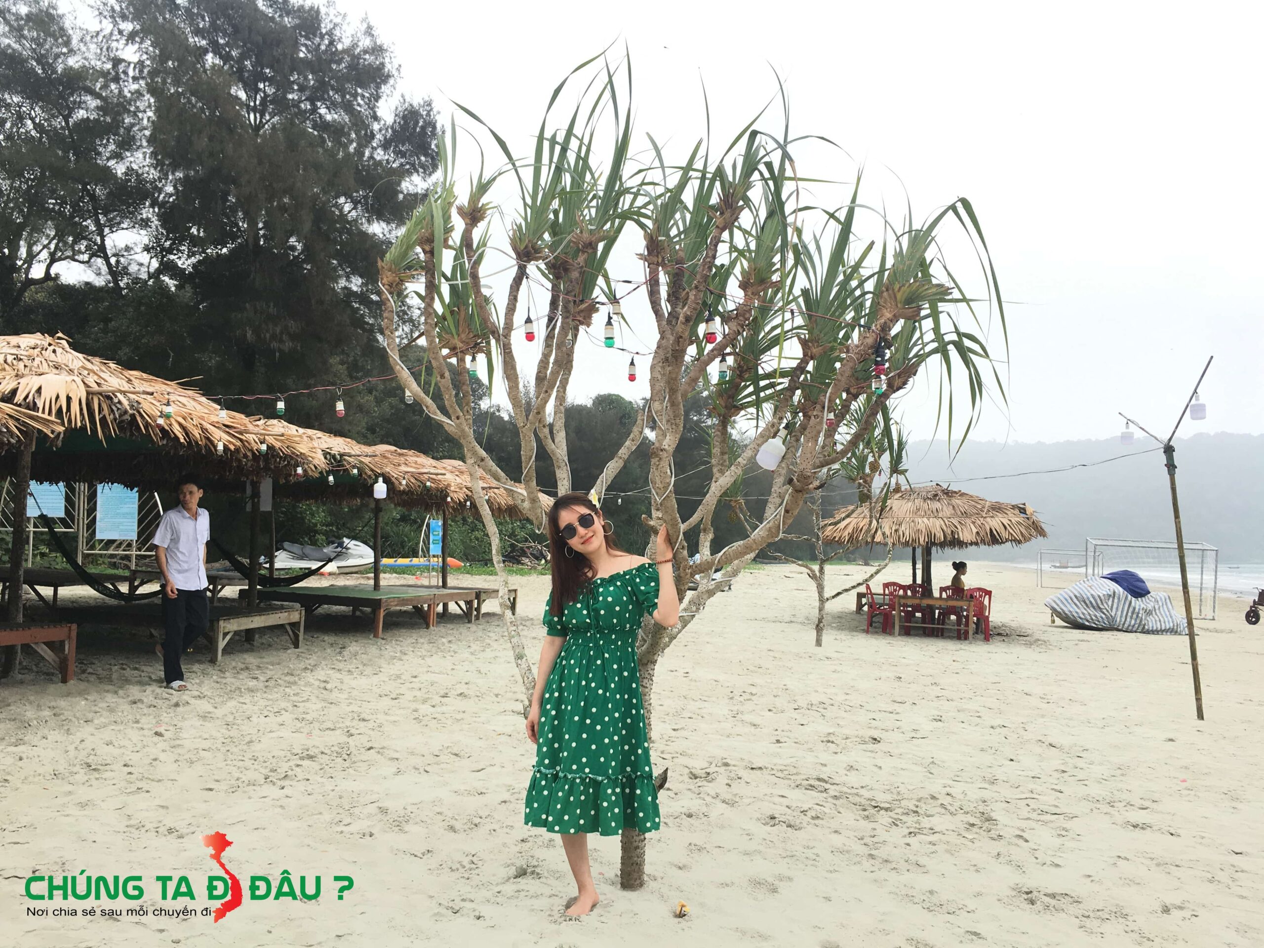 Cây Dứa dại trên đảo