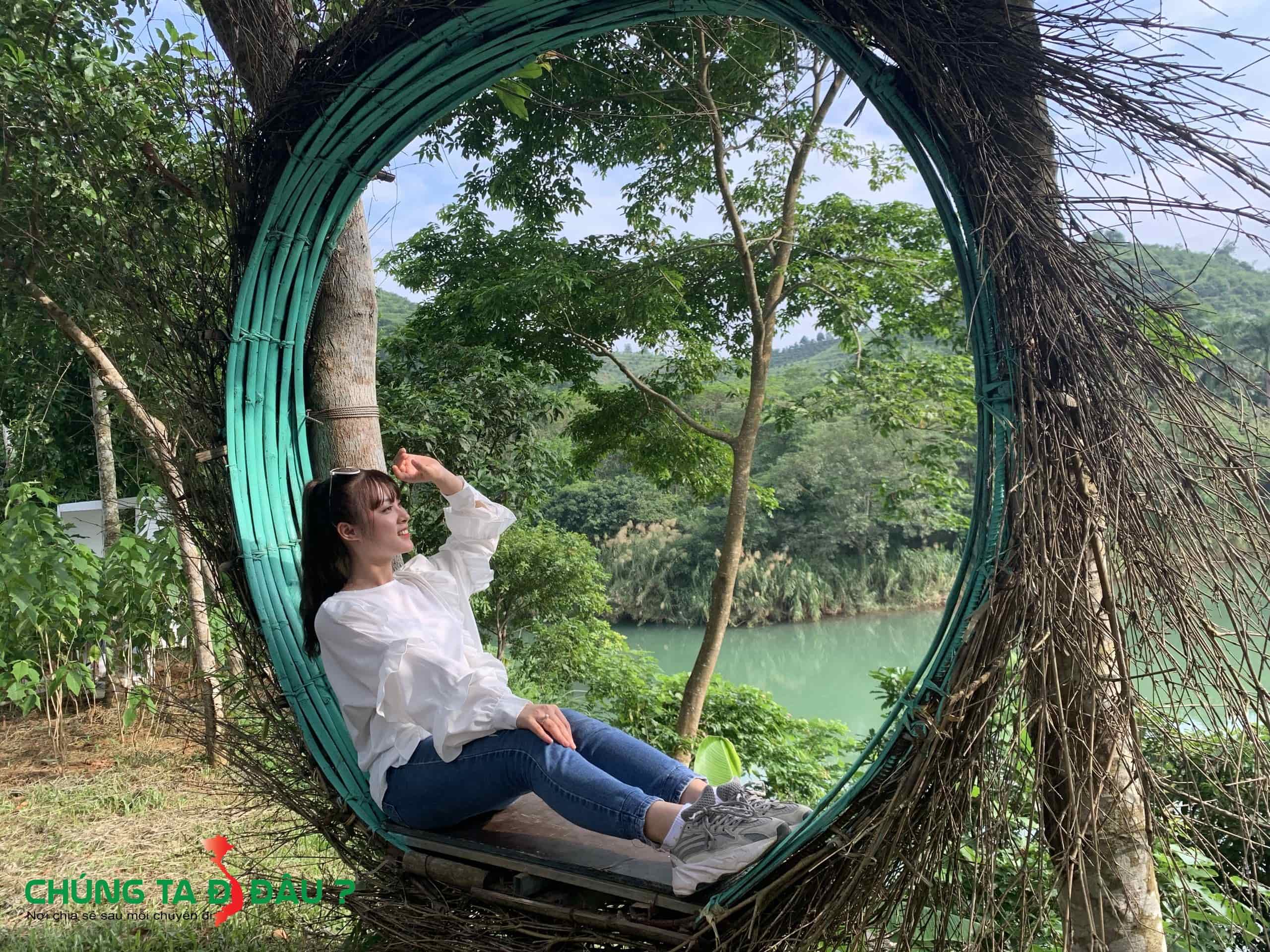 Tổ chim checkin