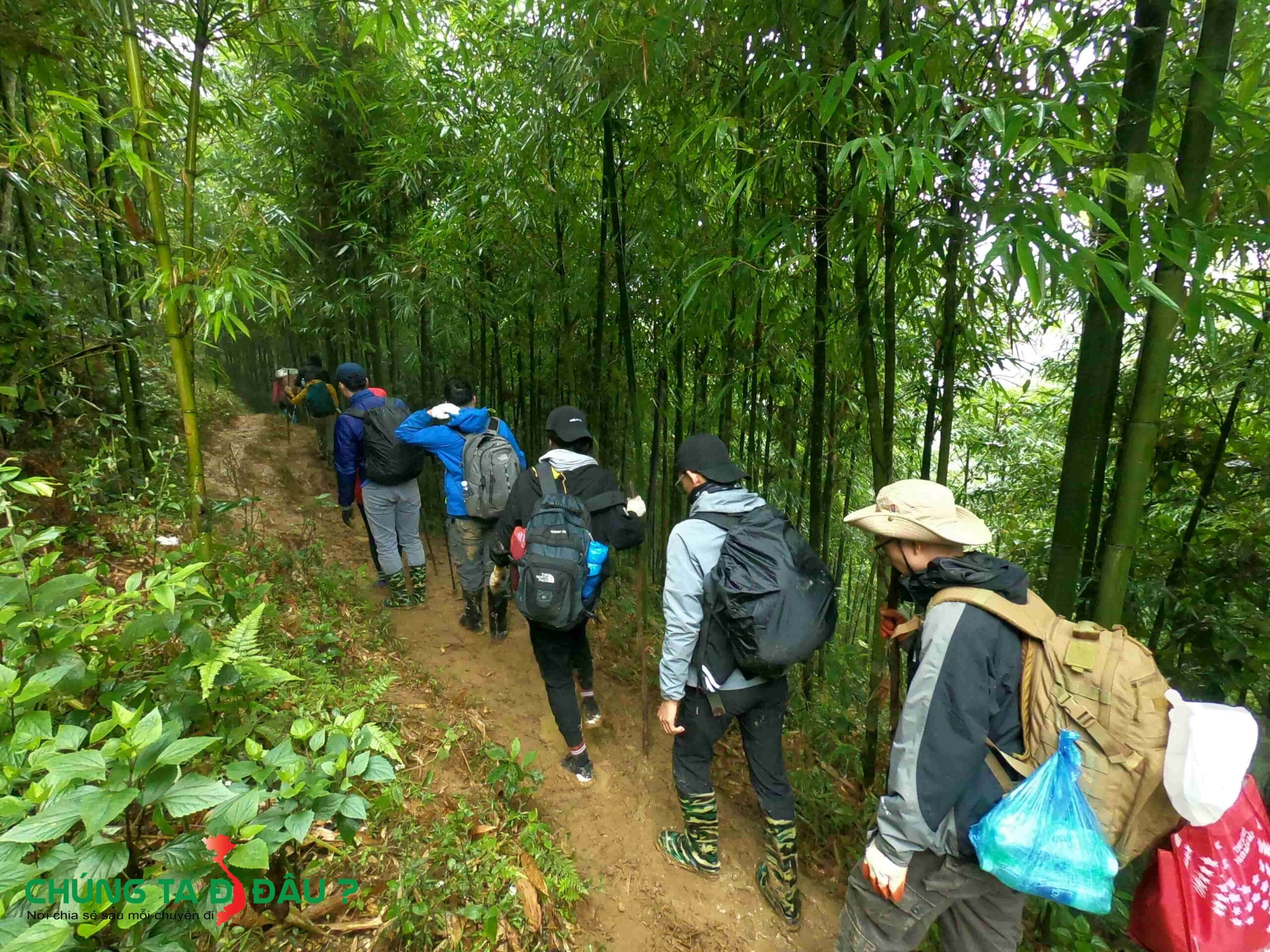 Trekking qua rừng trúc