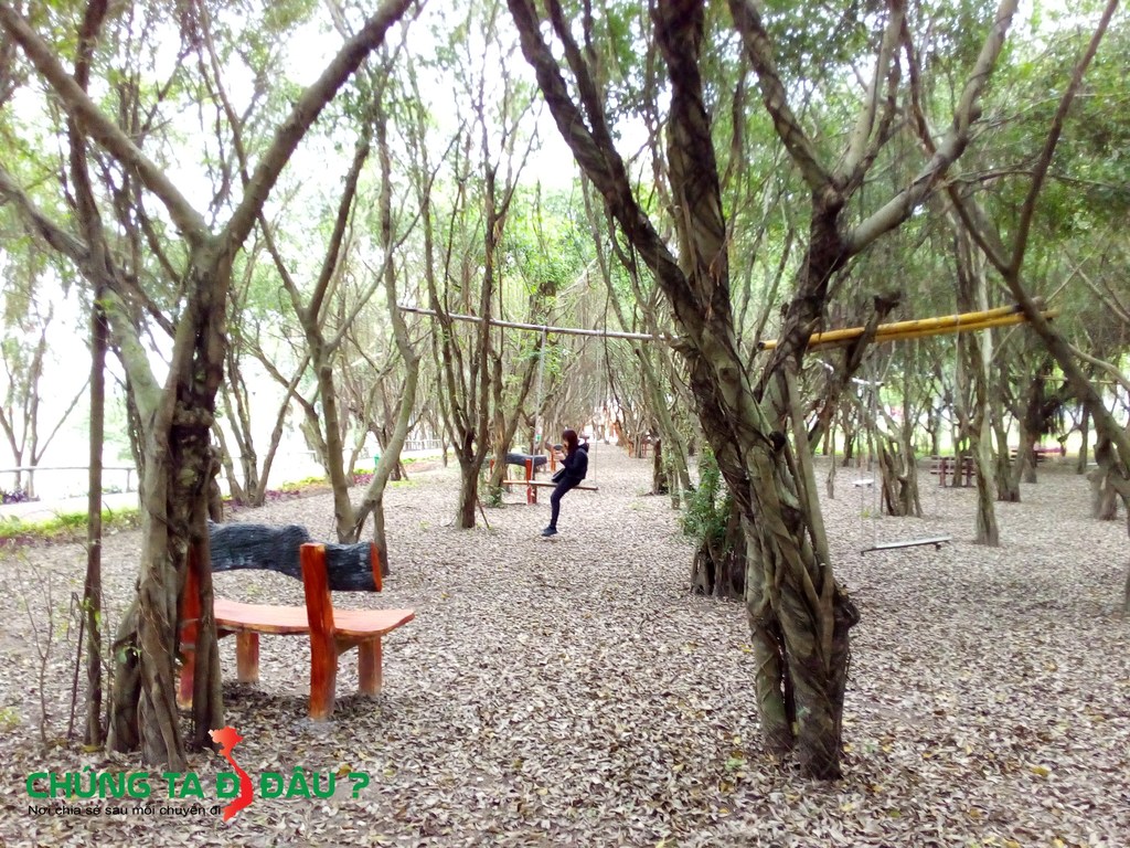 Rừng si ở núi Ngăm