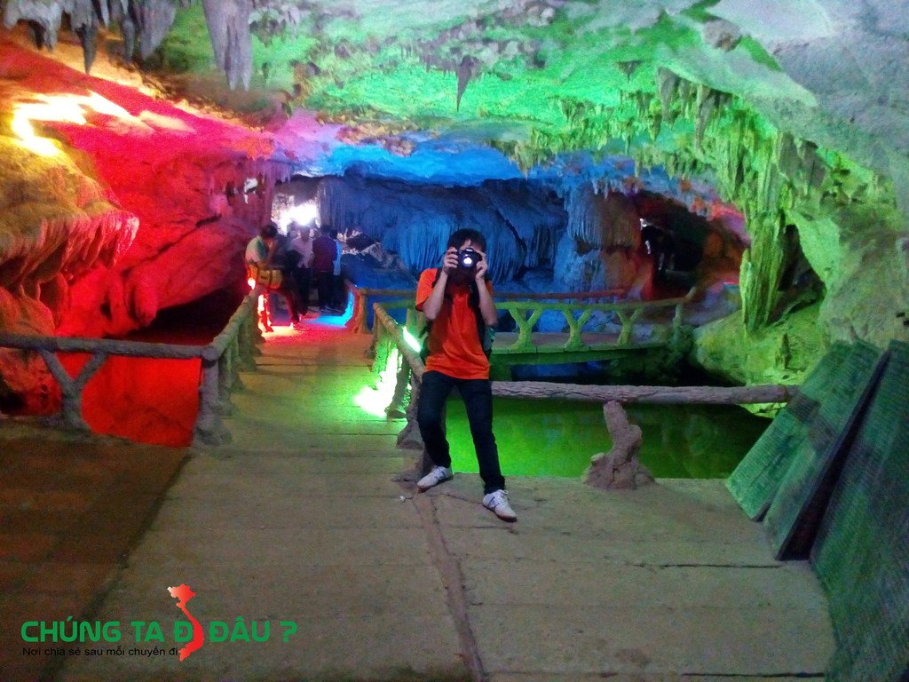 Động thủy tiên 