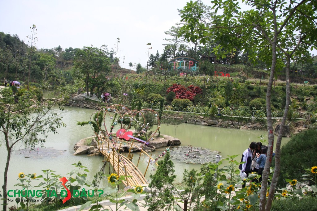 Tiểu cảnh trên sông