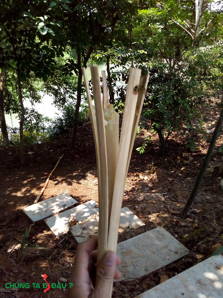 Có cơm Lam nhé các bạn trẻ, nhưng không ngon mấy 