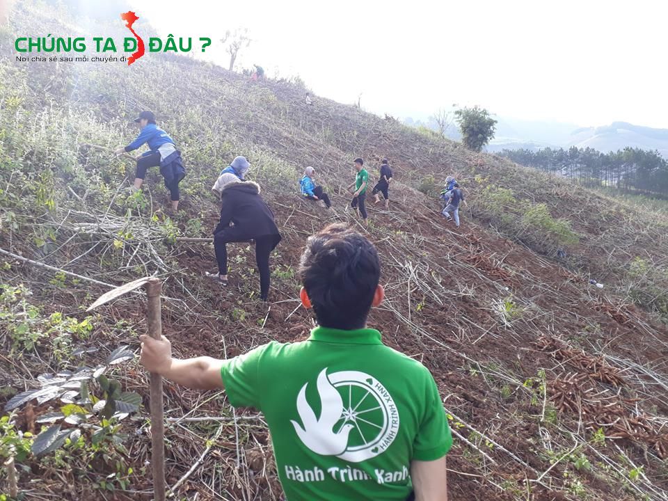 Các TNV trải nghiệm nhổ sắn giúp đỡ bà con