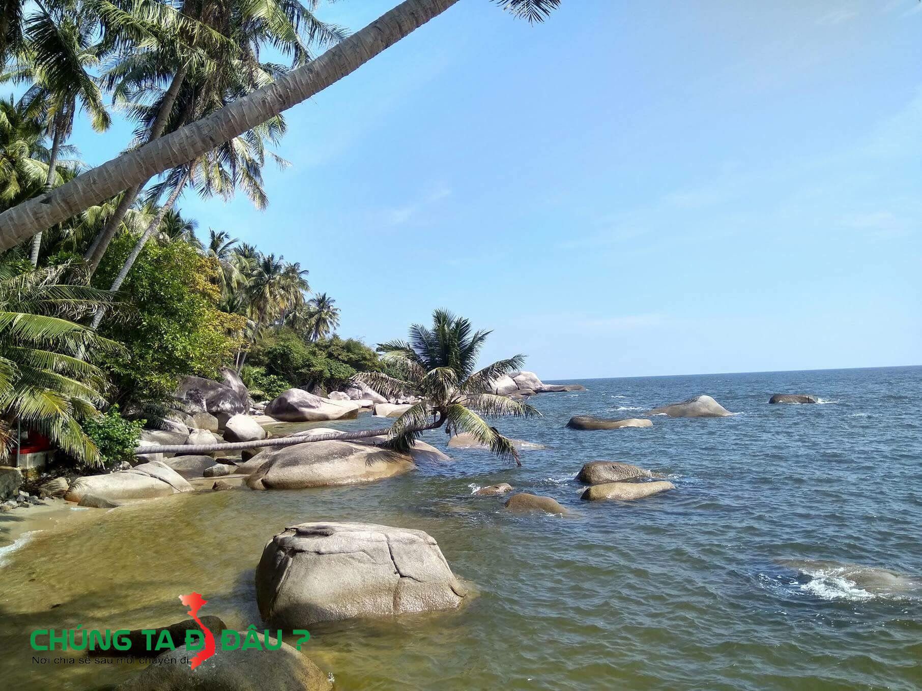 Rừng dừa trên đảo Hòn Sơn