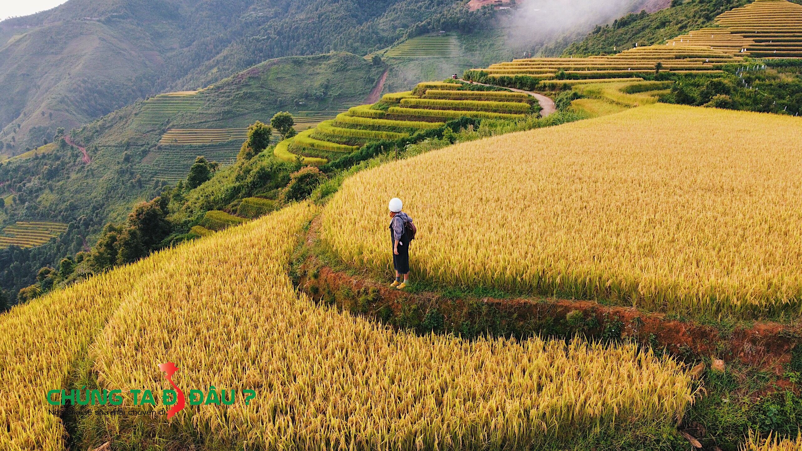 Ruộng bậc thang Xím Vàng