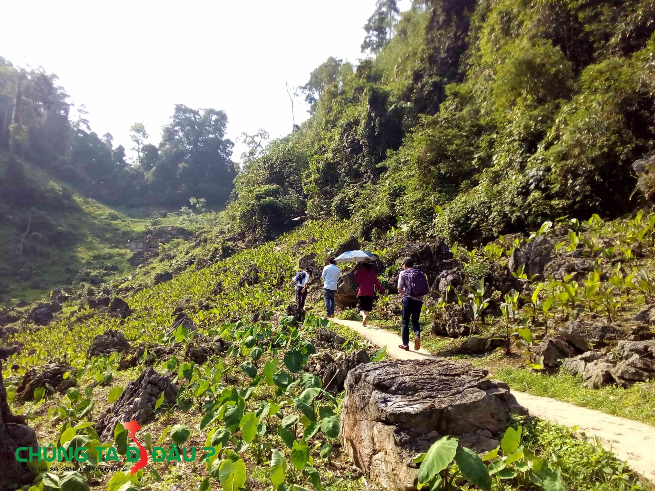 Du khách bắt đầu lên động