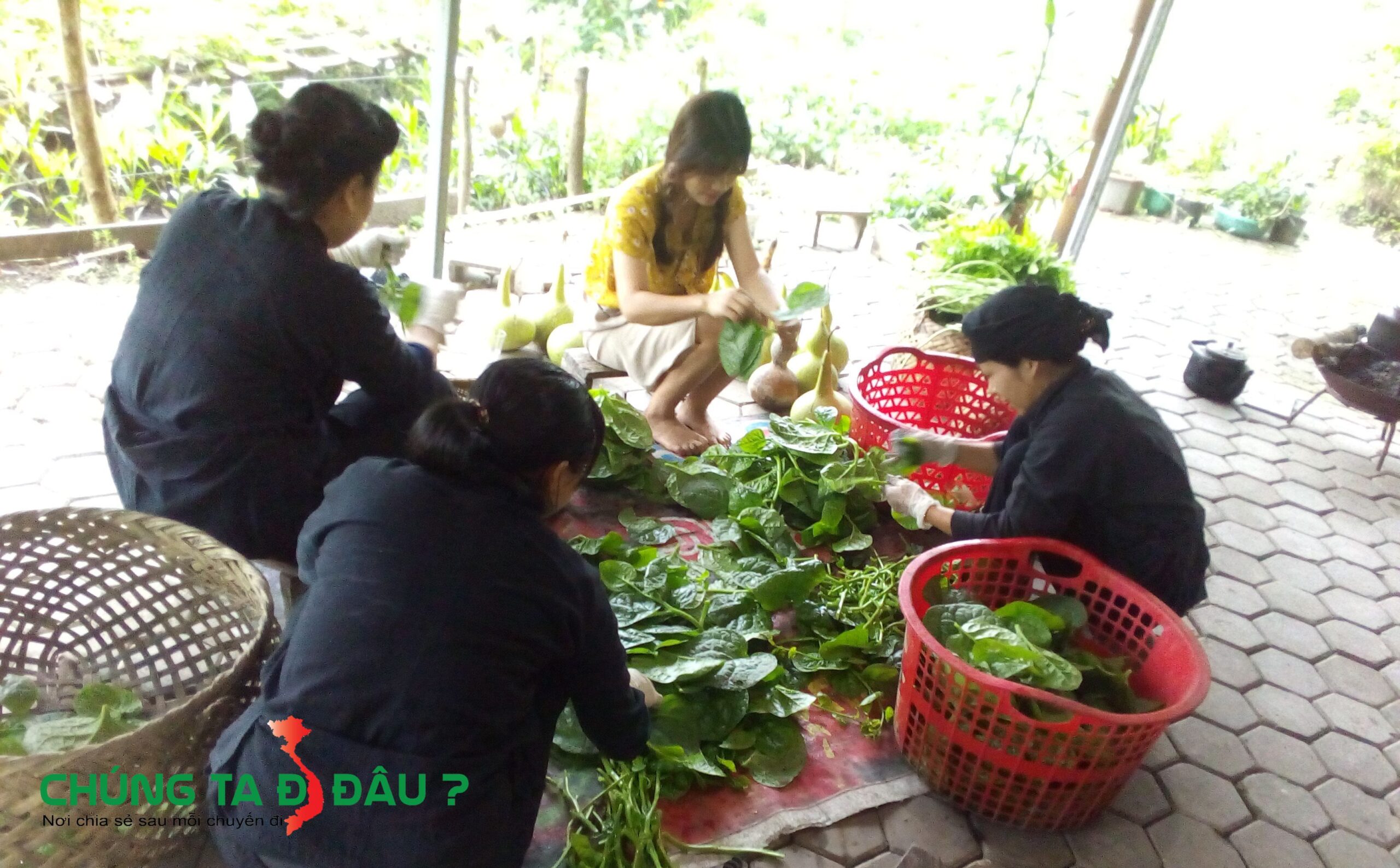 Thành quả của buổi sáng