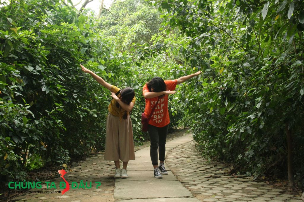 Con đường màu xanh thơ mộng