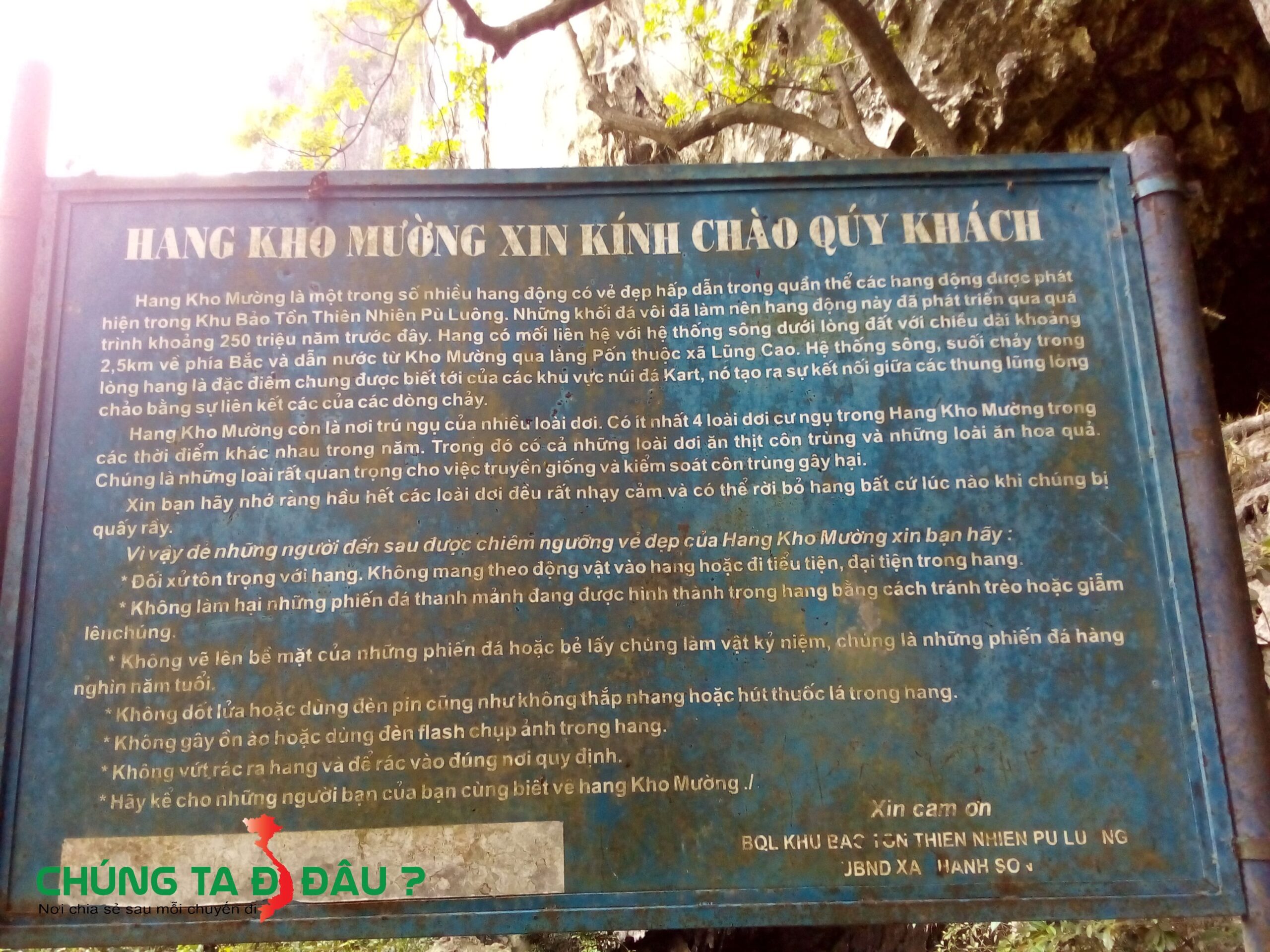 Thông tin về hang Dơi (hang Kho Mường)