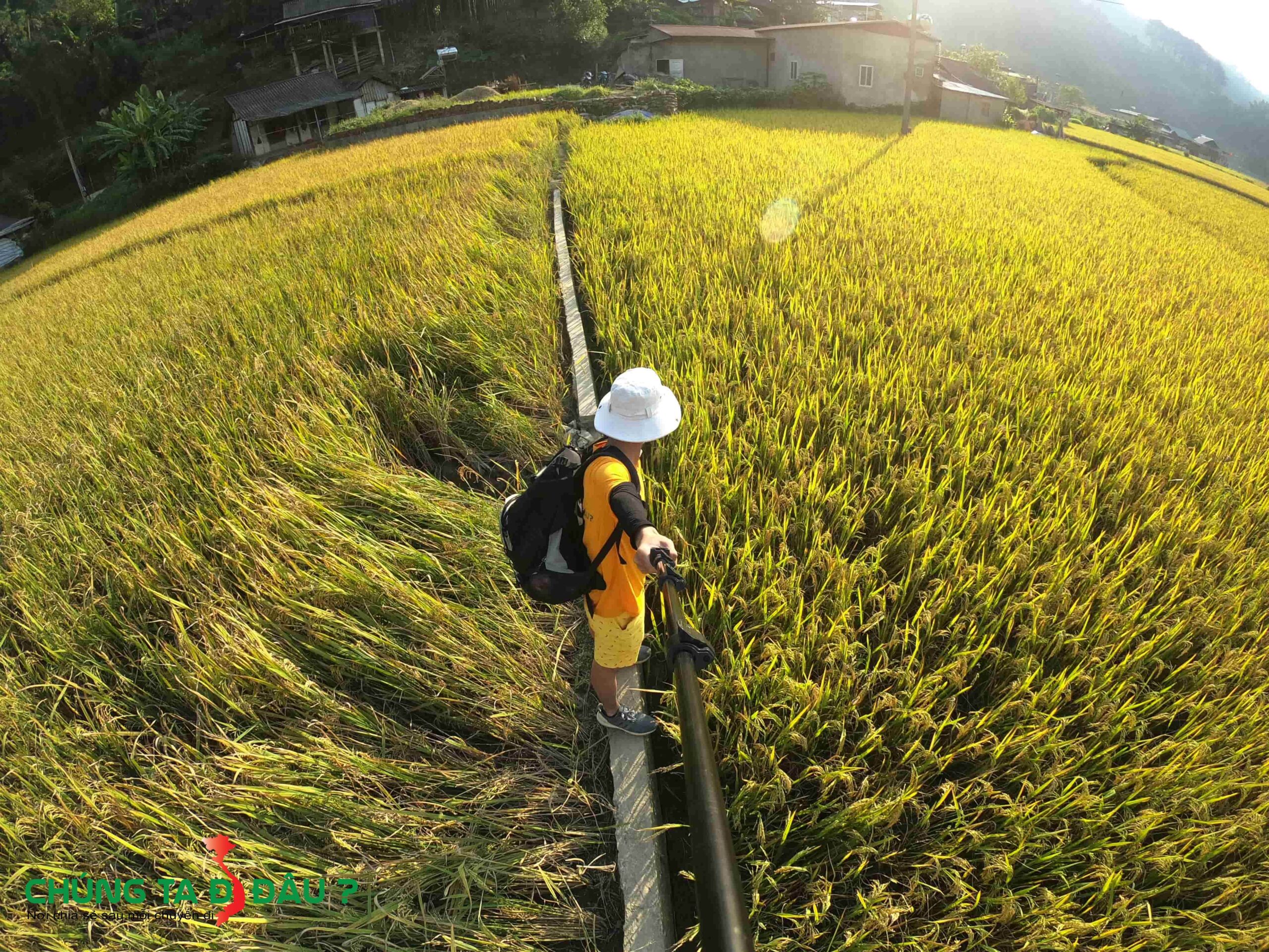Đi từ bản Thái ra suối sẽ đi qua cách đồng lúa này
