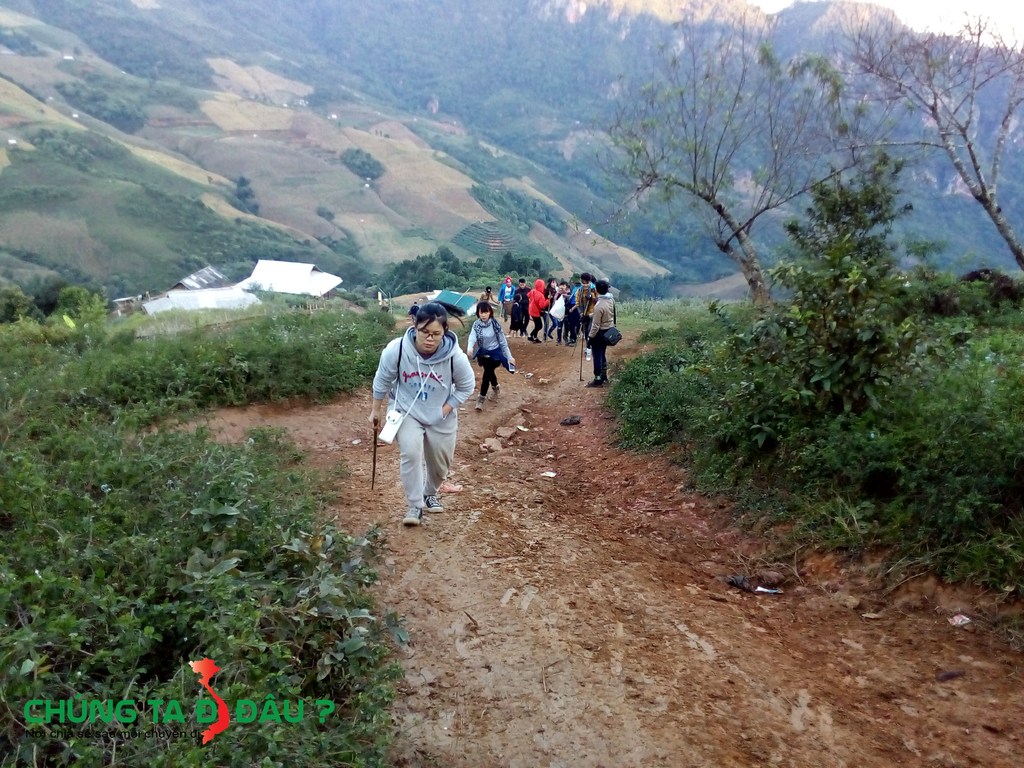 Pha luông thẳng tiến