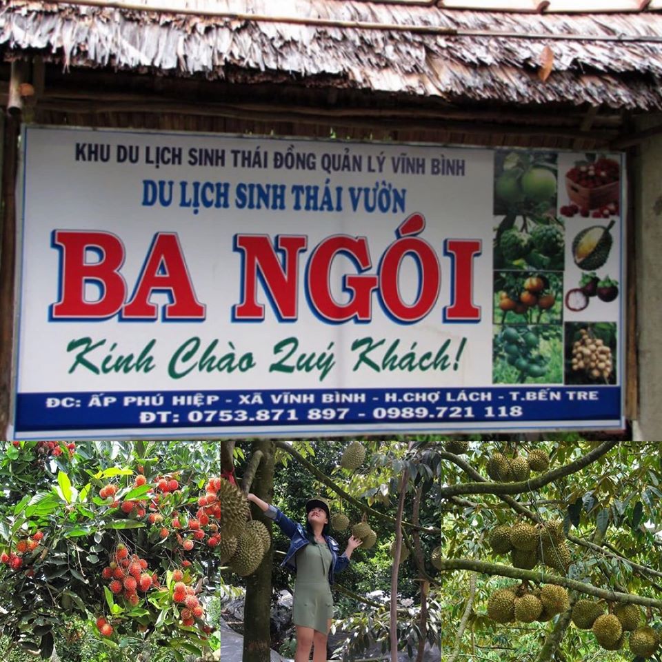 Vườn trái cây BA NGÓI