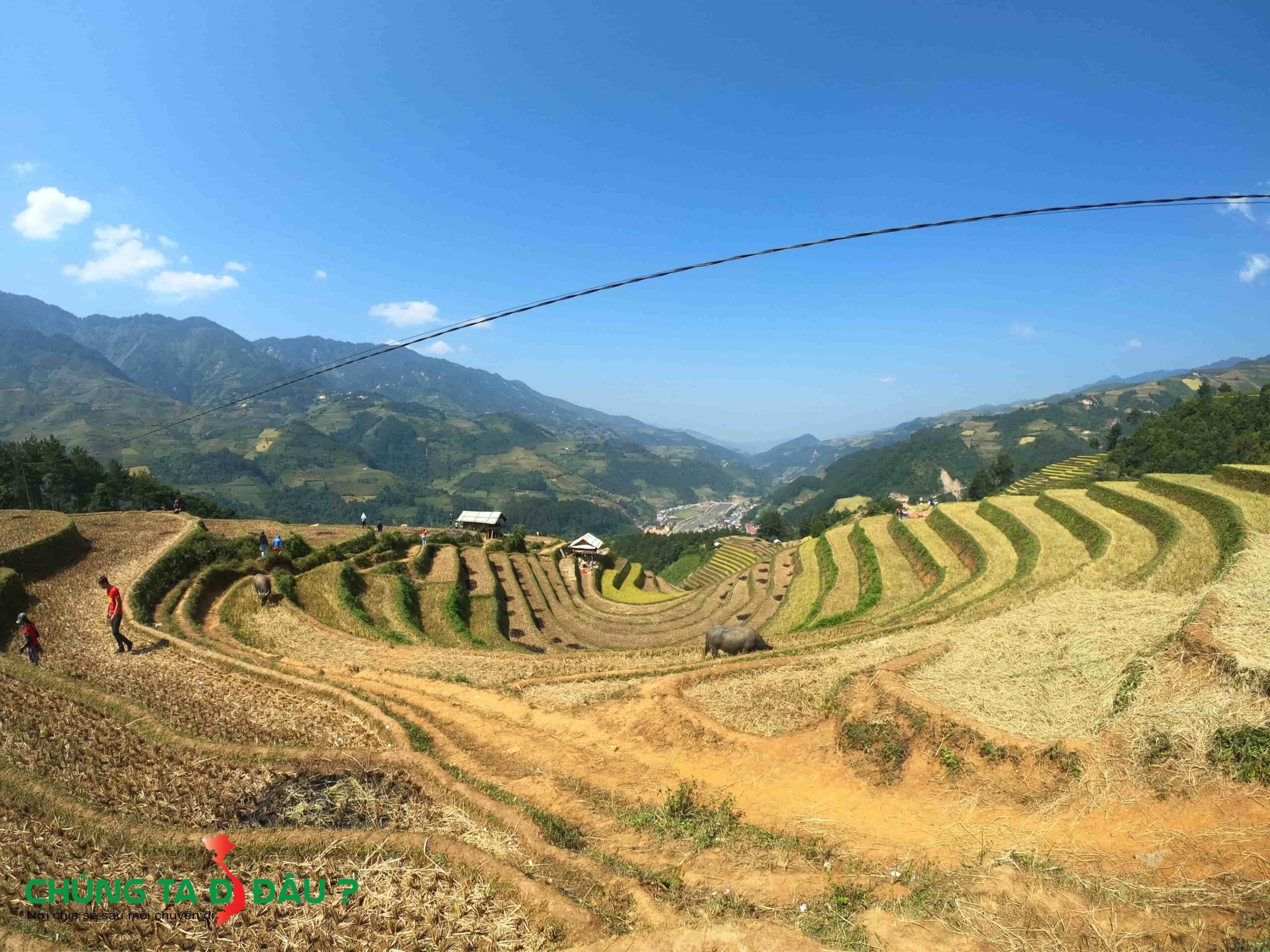 Khi mình đến thì sường bên này gặt hết rồi