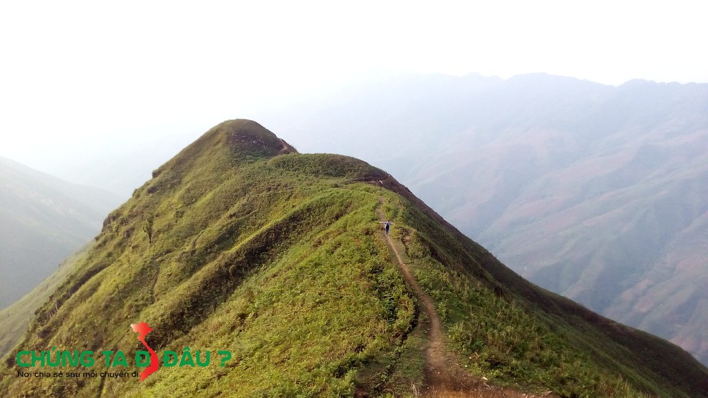 sống lưng khủng long