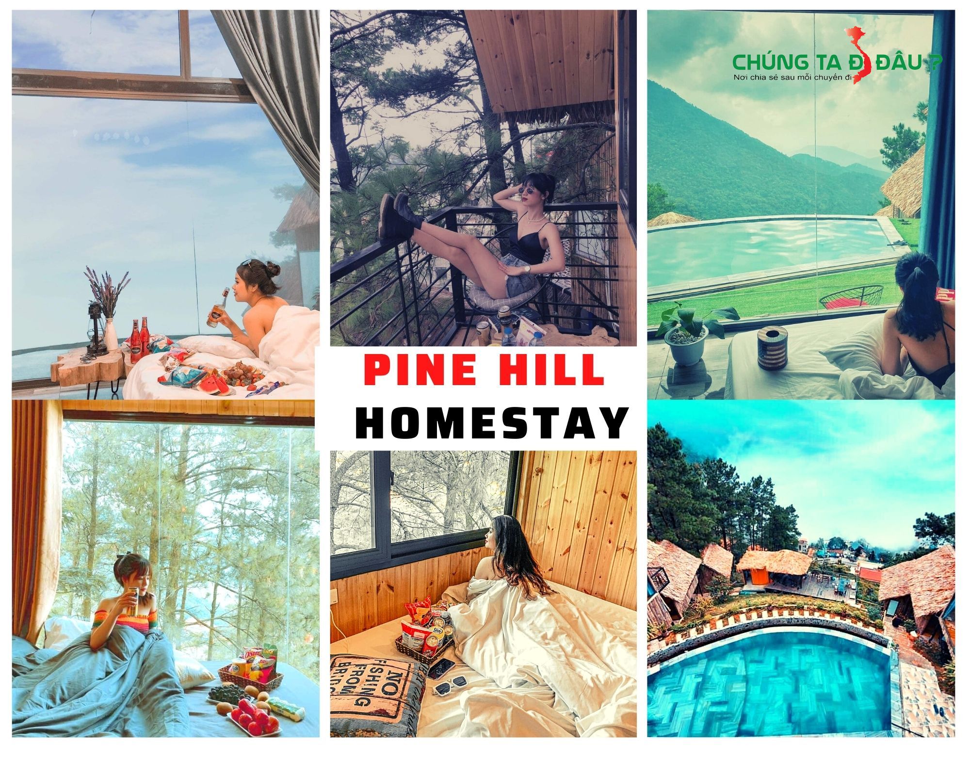 Pine Hill Homestay