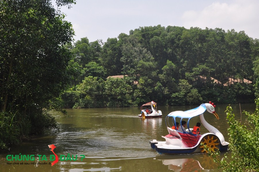 Đi Thiên Nga trong hồ ở Làng nhà sàn