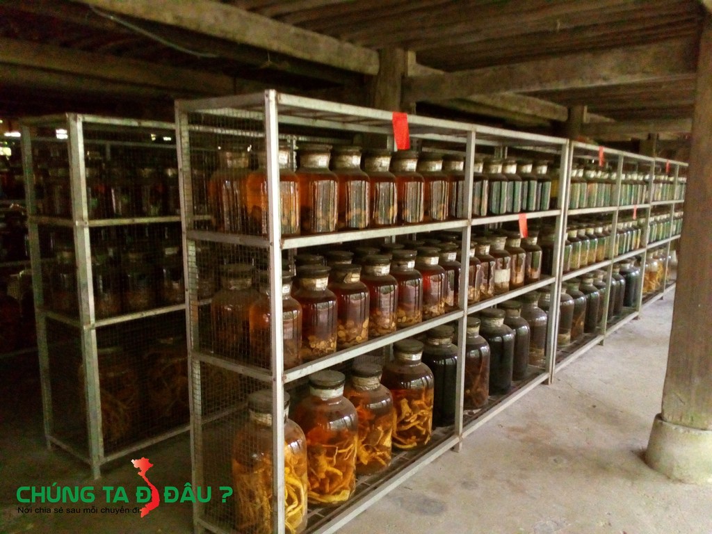 Bạn sẽ tìm thấy rất nhiều loại rượu ngâm quý ở đây