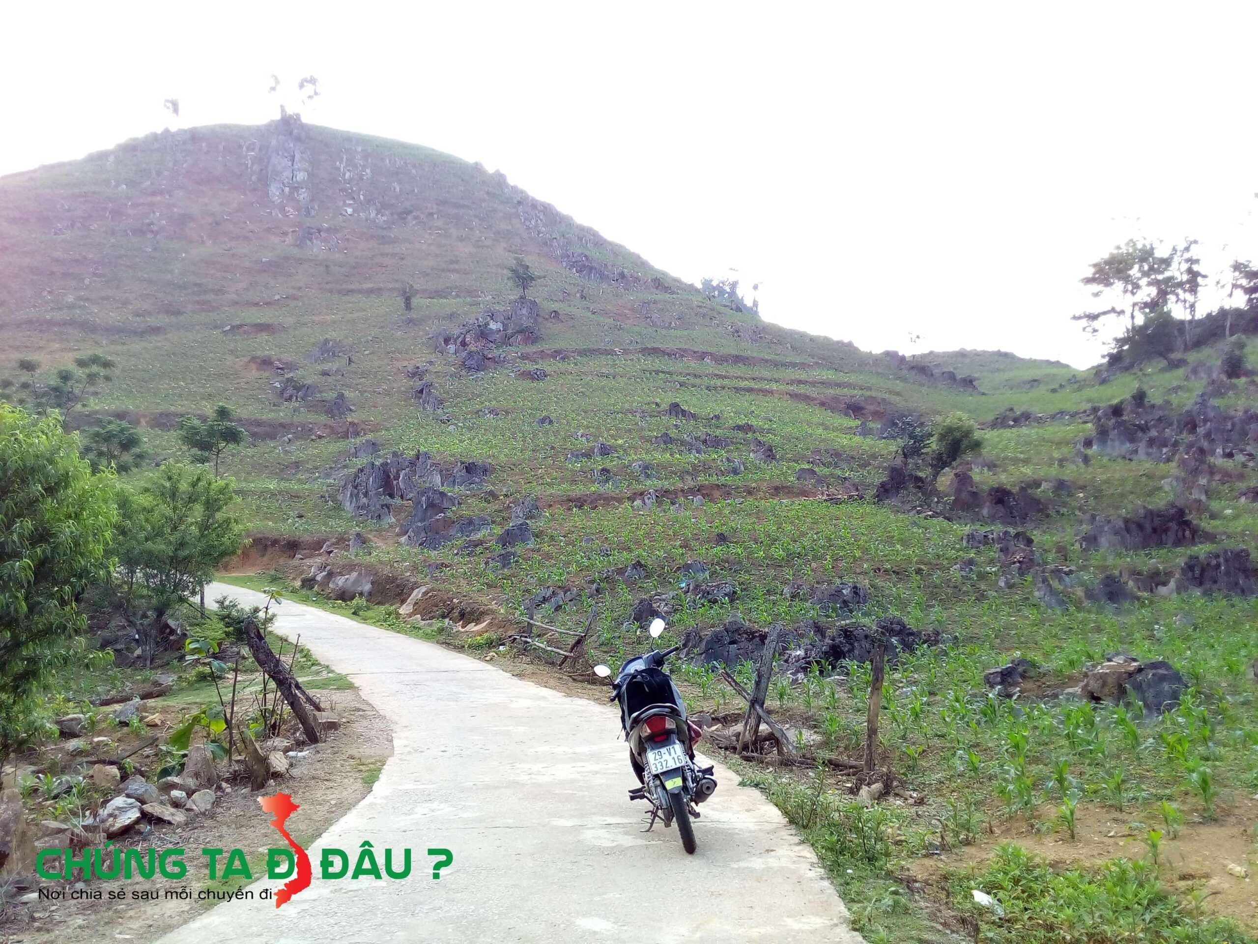 Khung cảnh rất đẹp