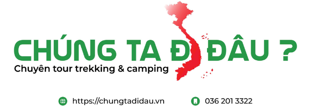 My websites