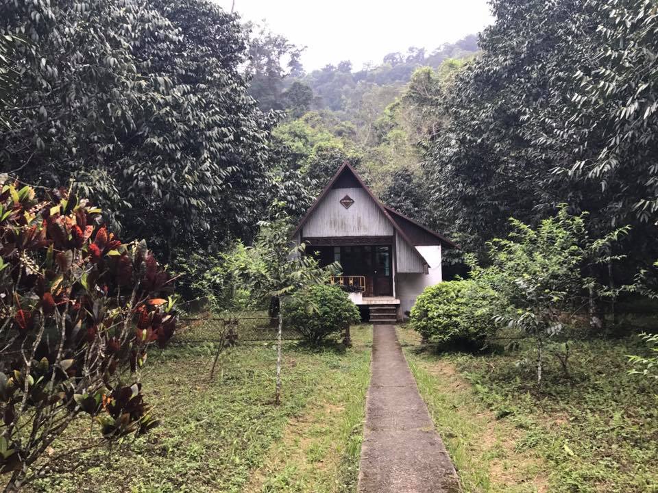 Nhà Luồng - Cúc Phương