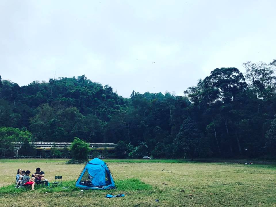 Cúc phương