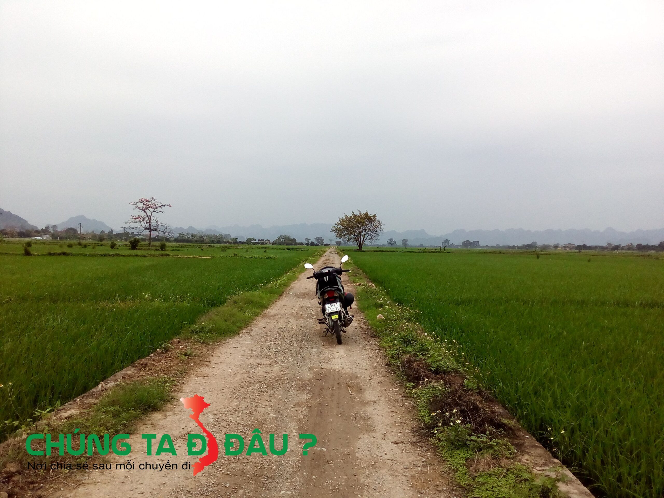 Con đường xuyên qua đồng thẳng cánh cò bay