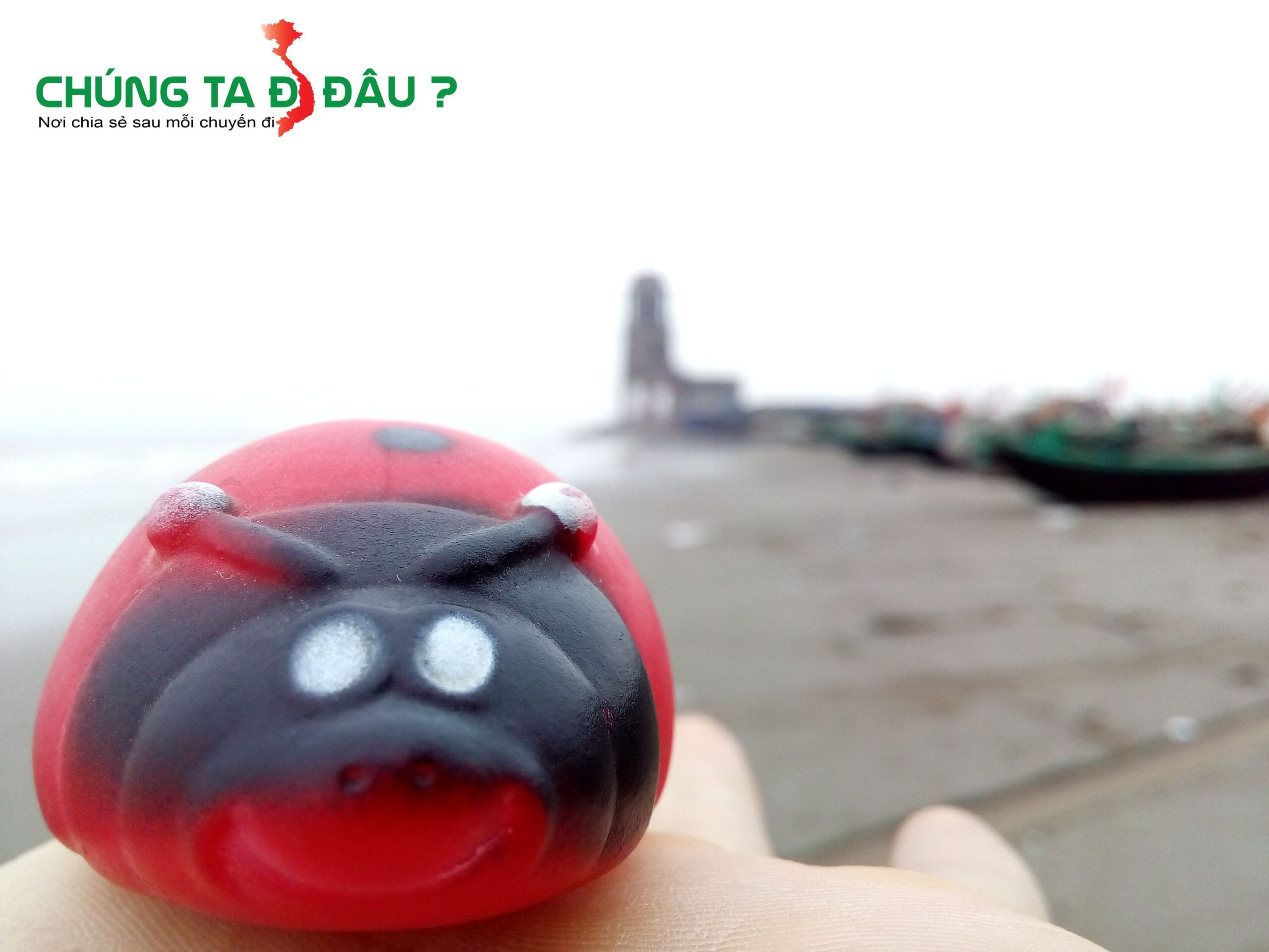 Em rệp của mình cũng muốn checkin, hihi