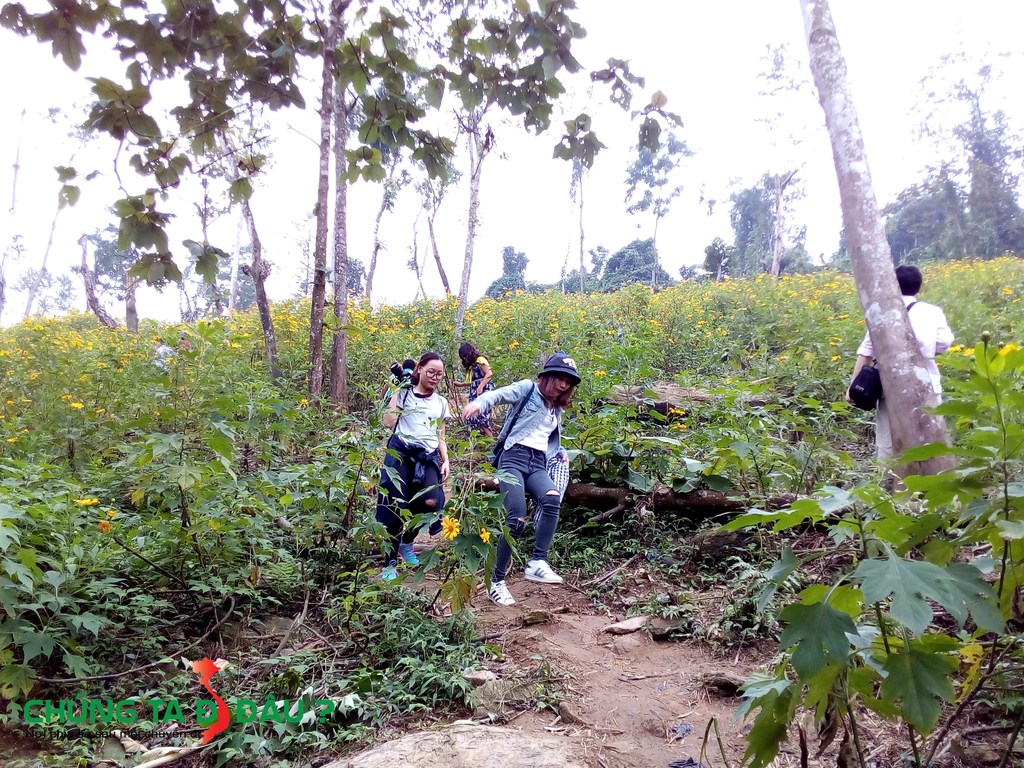 Nhìn cũng đẹp phết đấy chứ, cơ bản chụp bằng điện thoại nó xấu thôi
