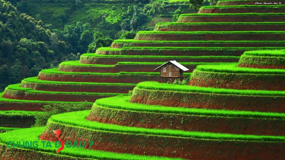 1 Góc ruộng bậc thang Mù cang chải khiến du khách xiêu lòng