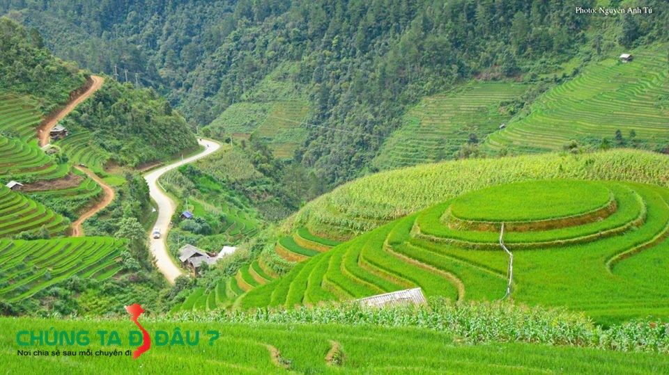 'Mâm xôi xanh' chuẩn bị trở thành ' Mâm xôi vàng'