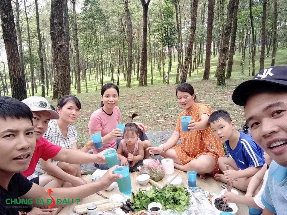 Đồi thông rất rộng và dâm mát - Ảnh: Đỗ Thắng